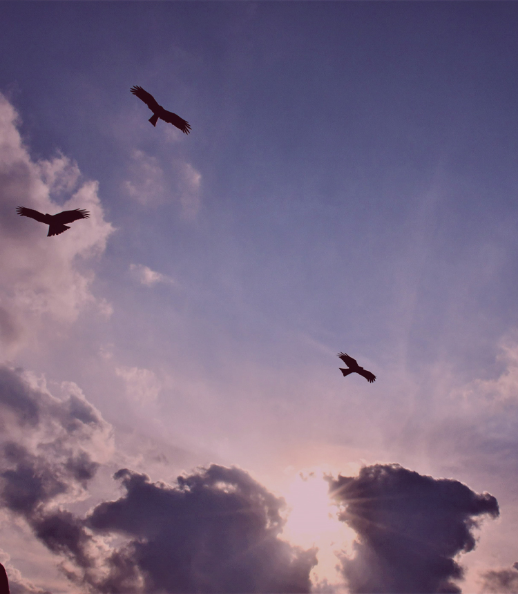 南鷹法律事務所